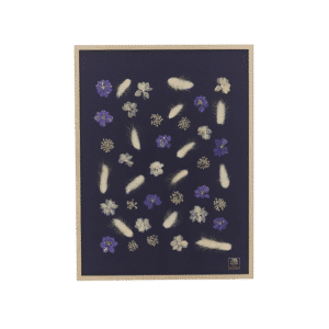Herbier fleurs séchées Courchevel cadre bois