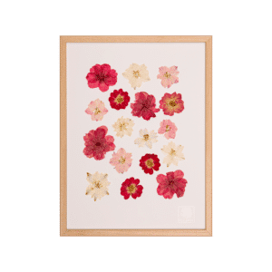 mini herbier blush rose