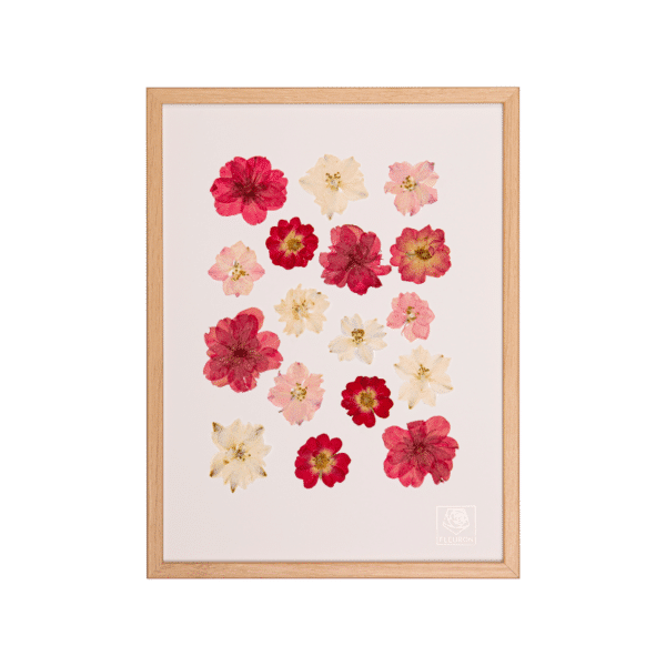 mini herbier blush rose